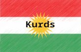 Kurdish presentationfinal