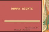 Human Rights 1195738519552204 2