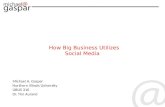 (NIU) How Big Business Utilizes Social Media