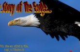 Rebirth Of The Eagle