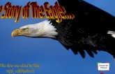 Rebirth of the_eagle