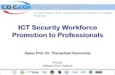ICT Security Workforce Promotion to Professionals