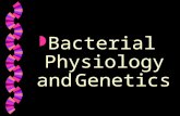 Bacterial Physiology and genetics