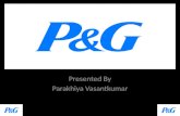 P&G Com. Ltd