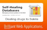 Self-healing databases: managing schema updates in the field