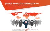 Benchmark Six Sigma Black Belt Brochure