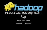 Practical Hadoop using Pig
