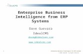Enterprise Business Intelligence From Erp Systems V3