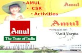 Presentation on Amul Diary