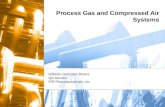 Validación De Sistemas De Gases De Proceso