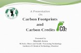 Carbon Footprints and Carbon Credits