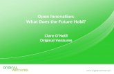 Clare O'Neill: Open Innovation - What Does The Future Hold?