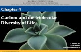 04 carbon and the molecular diversity of life