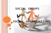 Social groups and Social organization