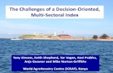 The Challenges of a Decision-Oriented, Multi-Sectoral Index