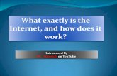 What exactly is the Internet and how does it work
