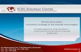 Innovation Strategy in the Danube macroregion Renata Anna Jaksa