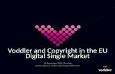 Voddler and Copyright in the eu digital single market
