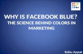 Why is facebook blue