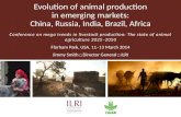 Evolution of animal production in emerging markets: China, Russia, India, Brazil, Africa