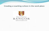 The Importance of creating a coaching culture in the workplace