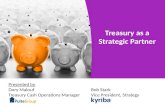Treasury as a Strategic Partner