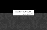 streptococcus   razon