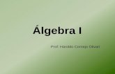 Álgebra I Prof: Haroldo Cornejo Olivarí. BIBLIOGRAFÍA Zill y Dewar Álgebra y Trigonometría Mc. Graw Hill 2ª Edic. R. Barnett Algebra y Trigonometría Mc.