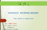 Abzyme(catalytic antibody)