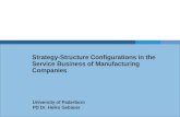 Strategy structure configurations in the service business