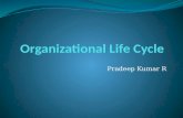 Organizational life cycle