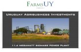 Uruguay Renewale Energy Investments: 11.4 MW Biomass Power Plant