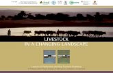 Introduction to Livestock in a Changing Landscape