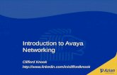 Introduction to Avaya IP Networking - Azlan