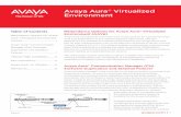 Avaya Aura® Virtualized Environment