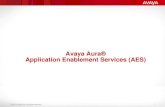 Avaya Aura Application Enablement Services (AES)