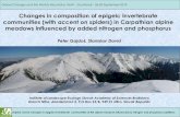 Changes in composition of epigeic invertebrate communities (with accent on spiders) in Carpathian alpine meadows influenced by added nitrogen and phosphorus [Peter Gajdos]