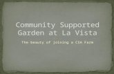 Community supported garden at la vista