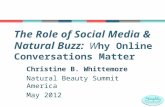 The Role of Social Media and Natural Buzz: Why Online Conversations Matter