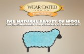 Wear Dated Natural Nylon Carpet Fiber