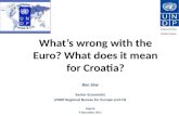 What's wrong with the Euro?  What does it mean for Croatia?