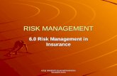 6. risk management in insurance