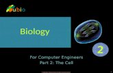 Biology for Computer Engineers, Part 2: The Cell