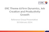ERC  Theme 6 Reference Group Feb 20 2014