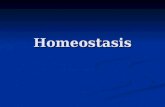 Homeostasis of the body