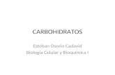 CARBOHIDRATOS Esteban Osorio Cadavid Biología Celular y Bioquímica I.