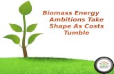 Biomass energy ambitions take shape as costs tumble