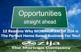 12 REASONS WHY YOU SHOULD JOIN MORINGA FROM ZIJA INTERNATIONAL BUSINESS