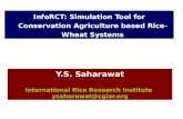 InfoRCT: simulation tool for CA based rice-wheat systems. Yashpal Saharawat