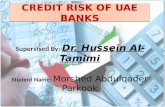 Credit Risk of UAE banks
